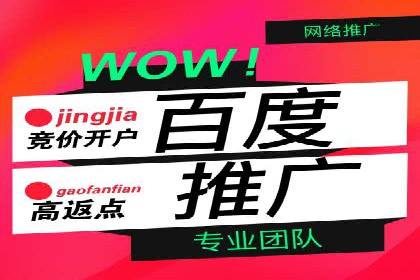 百度推广平台：从零到一的营销策略案例